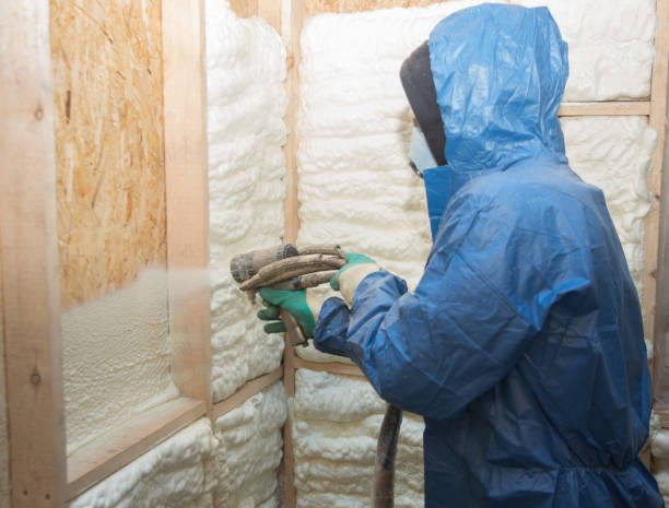 Types of Insulation We Offer in Bonny Doon, CA